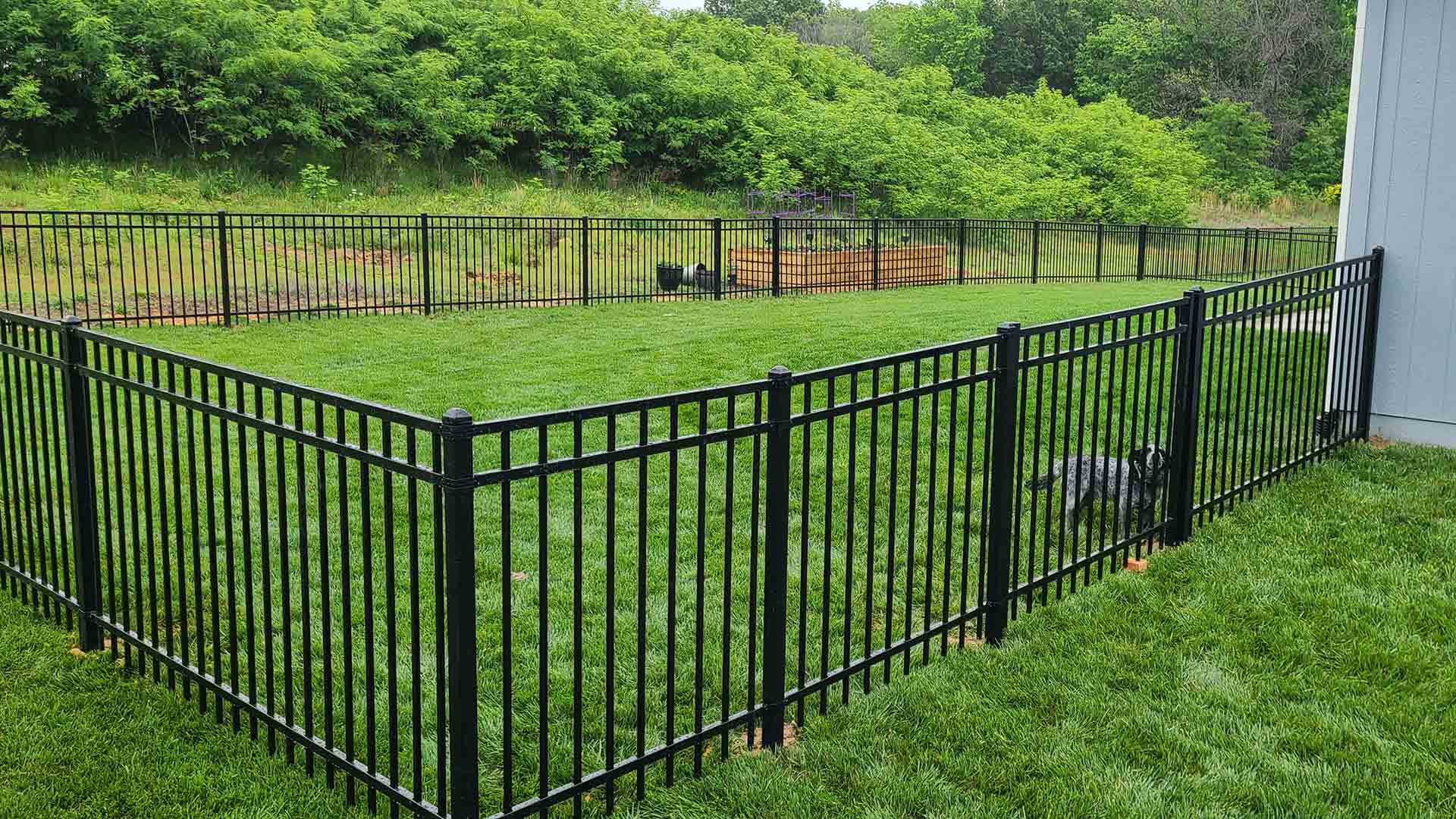 Steel Fencing Lenexa Fence Company Kansas